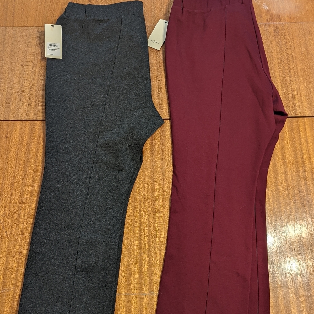 SEJOUR new with tags 2 pants.
